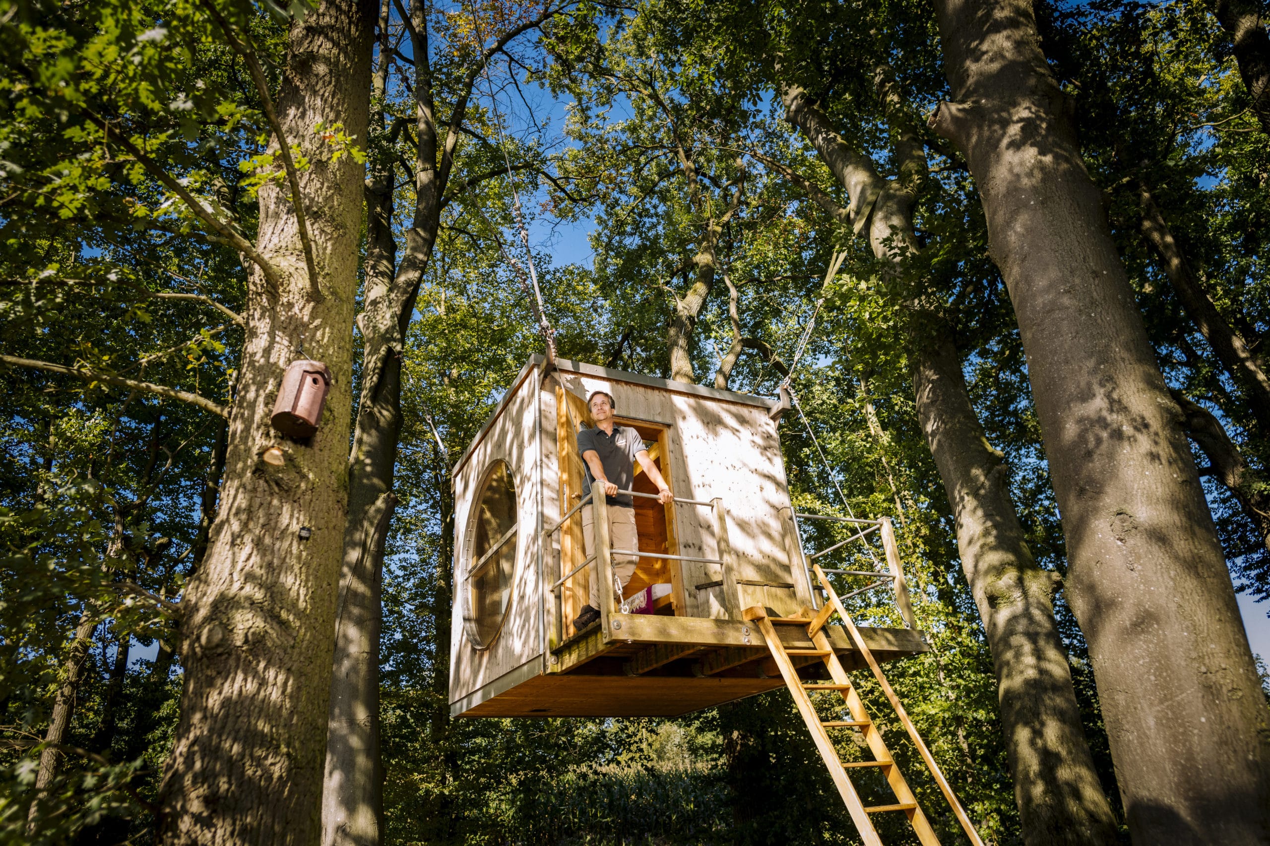Oliver Tiedemann entwickelt auch freischwingende Baumhäuser.