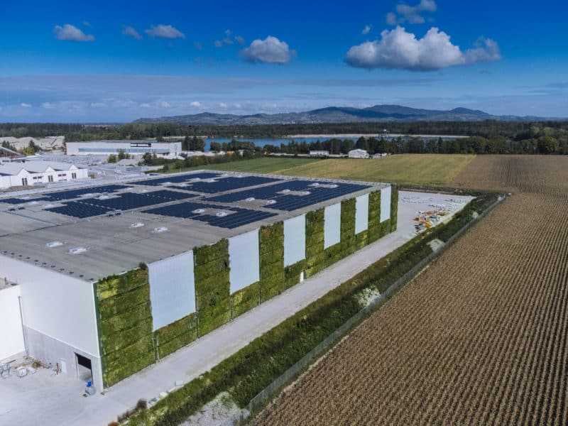 Vertikalbegrünung Fertigungshalle Betonwerk Freiburg