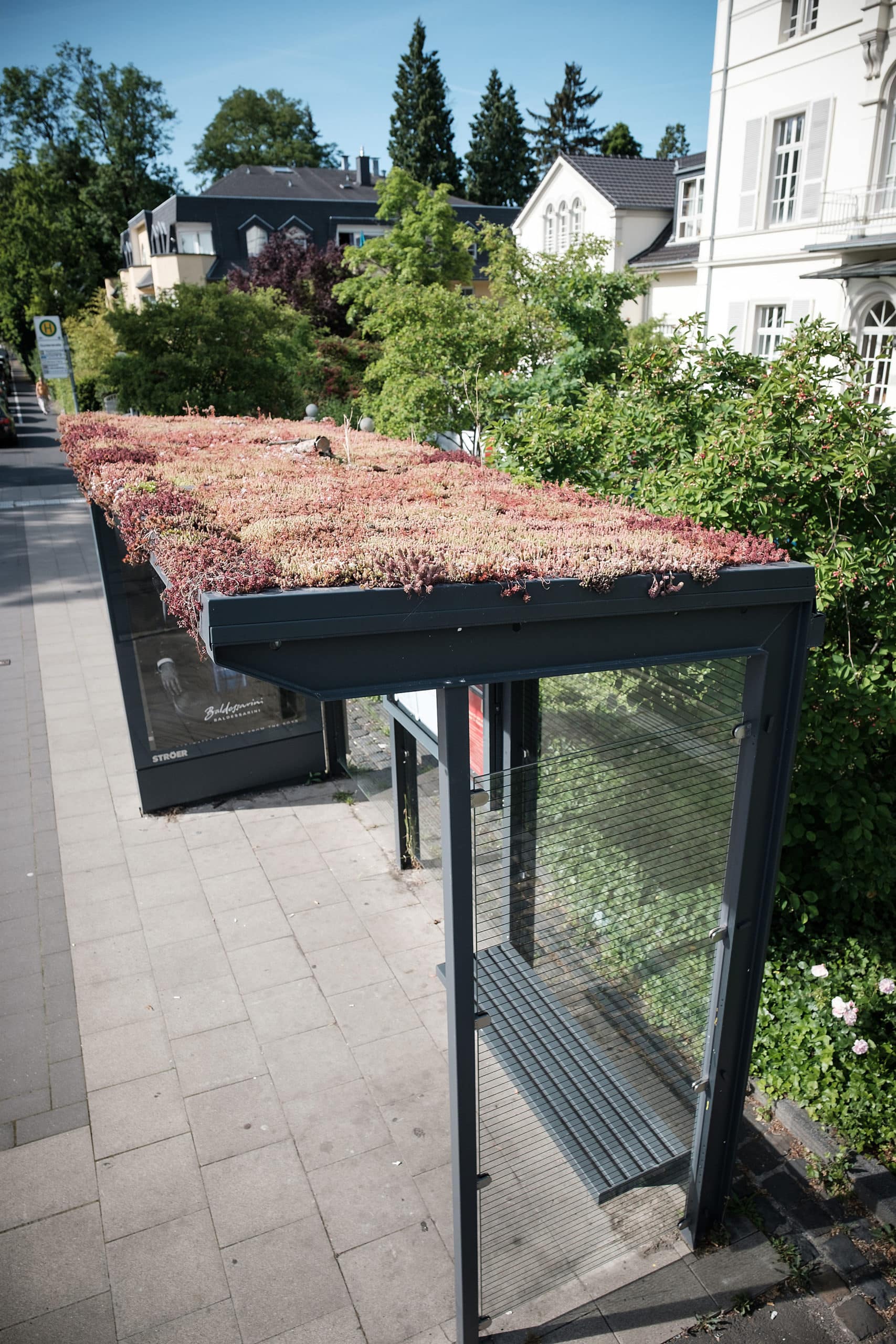 Bushaltestellen bieten auf ihren Dächern mögliche Lebensräume für Insekten