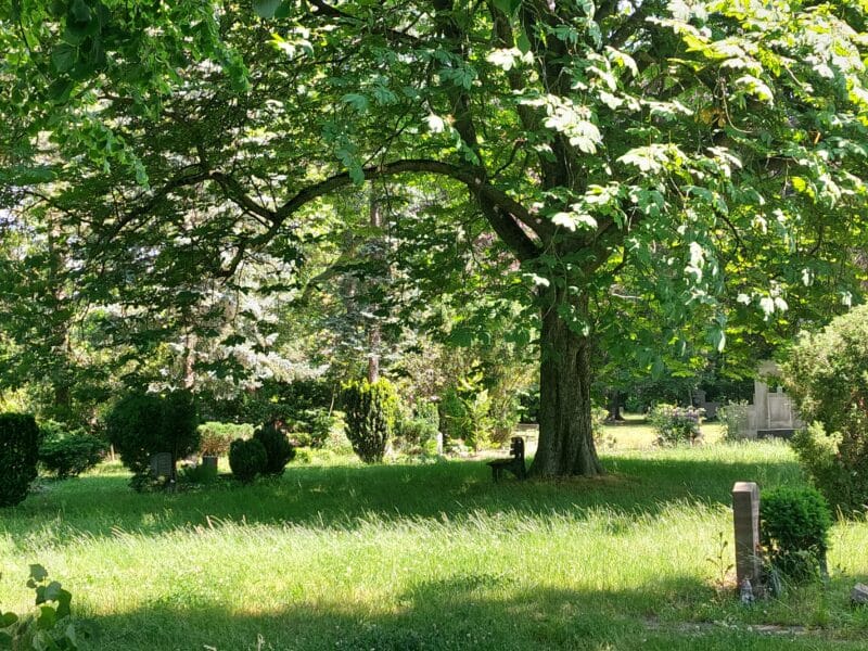 Stadt der Zukunft Friedhof Leipzig