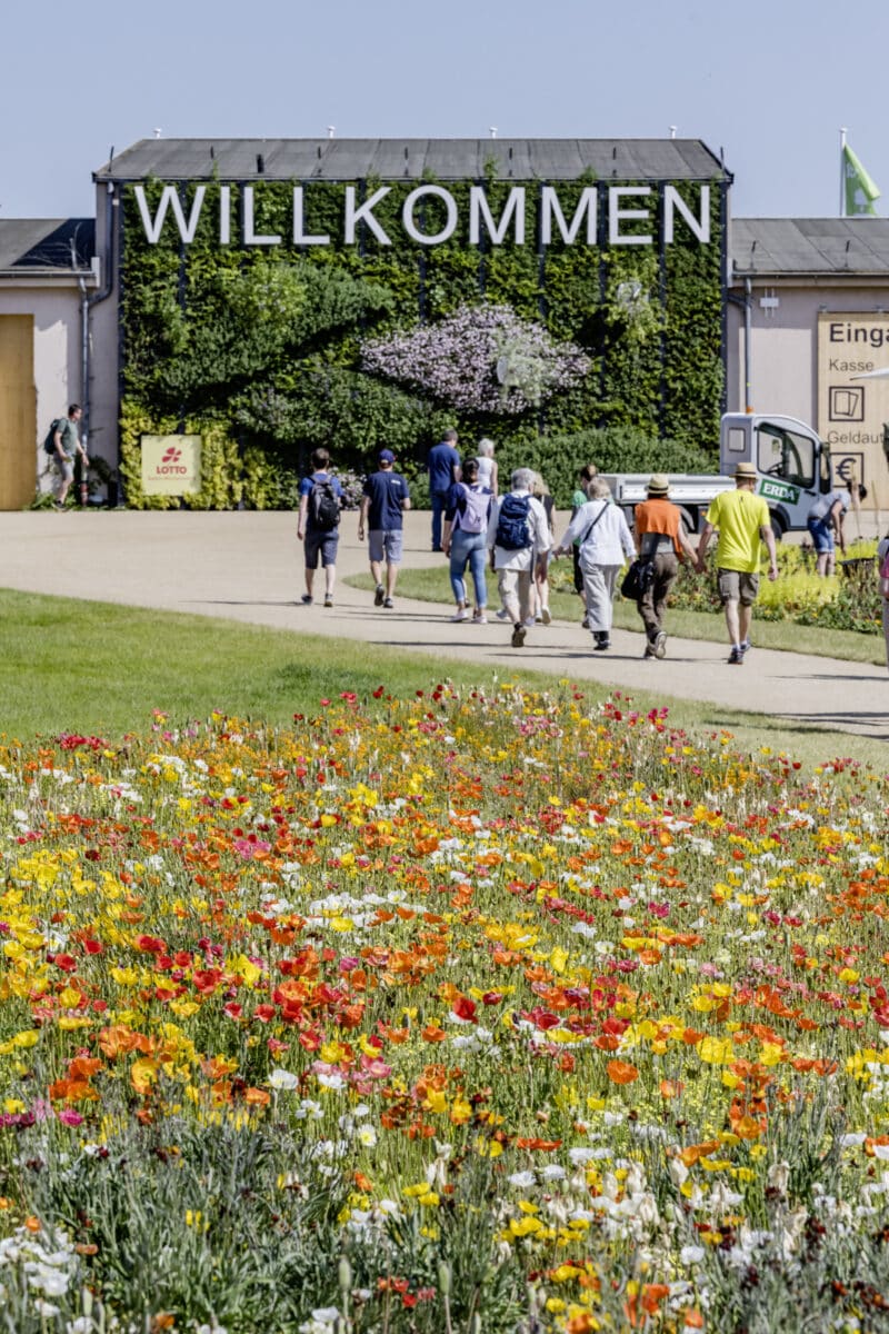 Eingang BUGA 2023 mit trockenheitsverträglichem Wechselflor