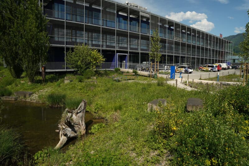 nachhaltige und biodiversitätsfreundliche Flächen