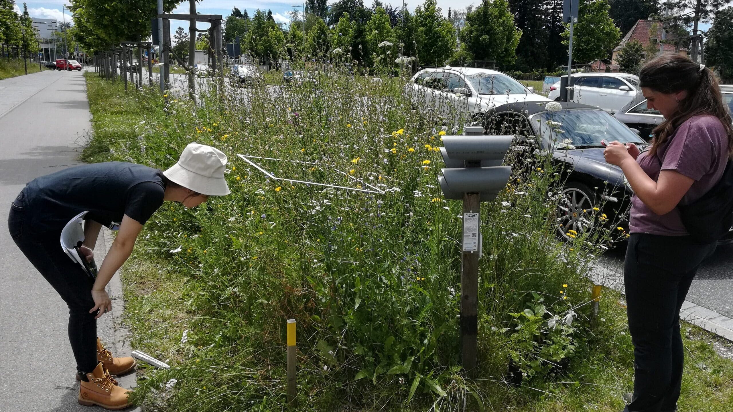 Renaturierungsökologie