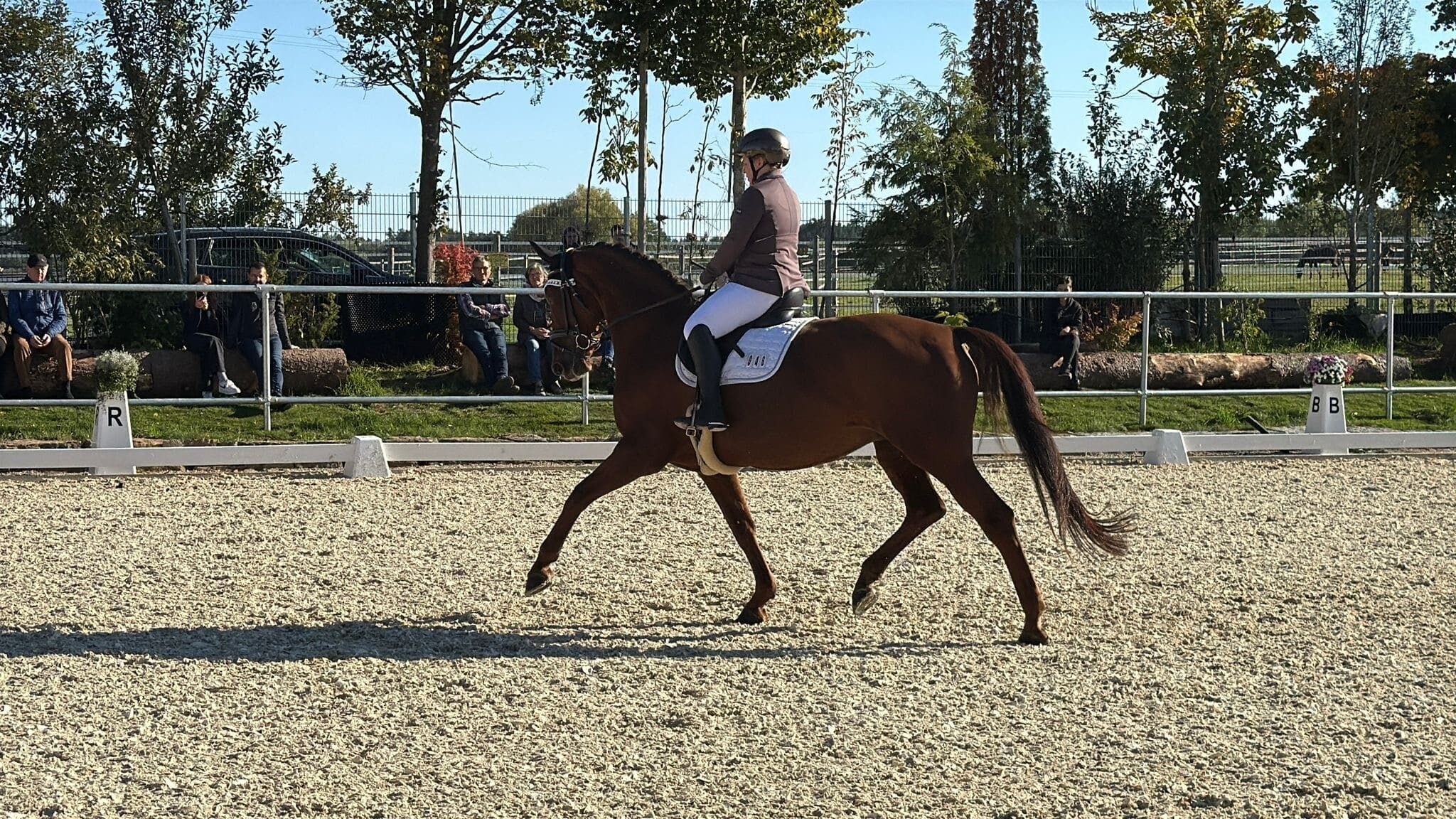 Vivi Reiten